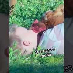 Boy Shares Sweet Moment Cuddling With Gentle Chicken
