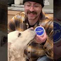 Paw Picks: Musher's Secret Paw Balm