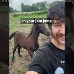 FUNNIEST Animal Fails