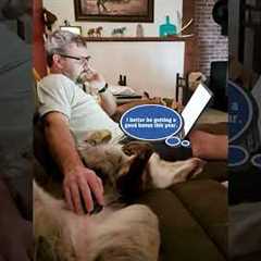Man uses dog as computer mousepad 🤣