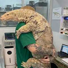 The Weirdest Animal the Vet Has Ever Seen!