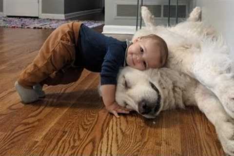 When we had a happy childhood together and beyond - Cute dog and little human