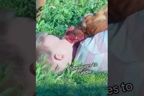 Boy Shares Sweet Moment Cuddling With Gentle Chicken