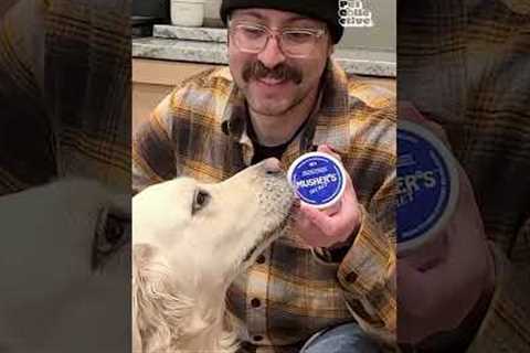 Paw Picks: Musher's Secret Paw Balm