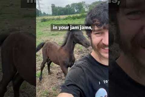 FUNNIEST Animal Fails