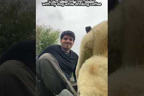 My dog acting like a big baby when he wants attention 🙄🤣