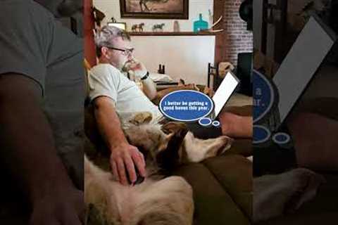 Man uses dog as computer mousepad 🤣