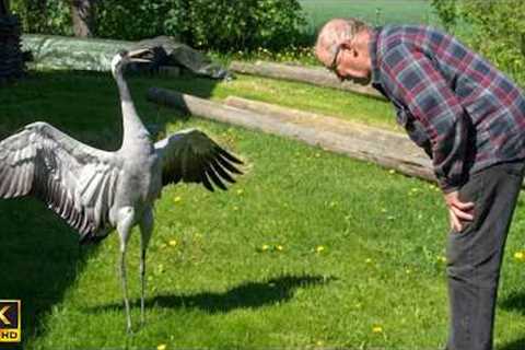 When Big Animals Encounter Everyone in the Most RIDICULOUS Way! 😂