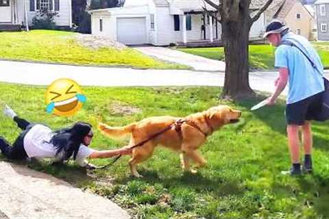 Dog Greeting Mailman Fail 😂  Try Not To LAUGH Challenge Compilation