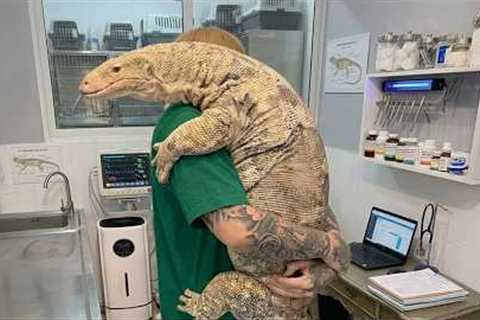 The Weirdest Animal the Vet Has Ever Seen!