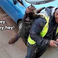 A Cat Decided To Use Me As A Backpack | FUNNY CCTV Fail Compilation