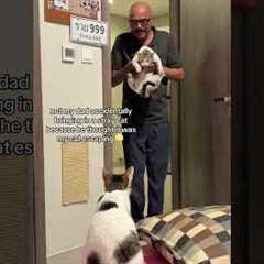 Dad Mistakes Stray Cat for His Family Cat