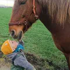 Horses Are Amazingly Gentle Companions for Babies, This Video Proves It ❤️