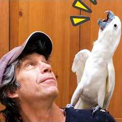 Funny Cockatoo Bird Videos That'll Make You Chuckle 😂