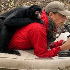 ANIMALS Never Fail to Surprise Photographers in Unexpected Ways that Make us LAUGH! 🤣