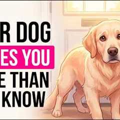 7 Ways Your Dog Says I Miss You (And You Never Noticed)