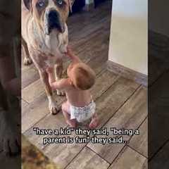 Toddler Tries To Eat Dog Drool Hanging From It's Mouth 🤢🤣