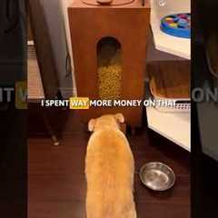 Paw Picks:  Houndsy Kibble Dispenser