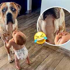 Viral Video: Baby Tries to Eat Dog Drool! 😳 | FUNNIEST of the Week
