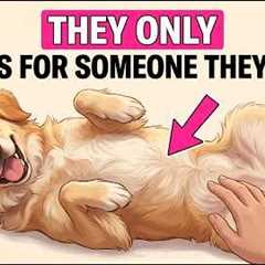 7 Ways Your Dog Says 'I Trust You' (Most People Miss #4)