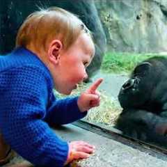 When Your Baby Instantly Finds Best Friends in Animals ❤️