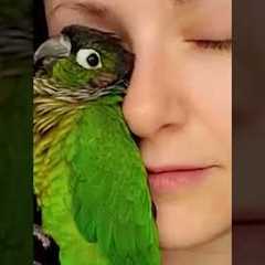 🥰❤️ My Pet is my safe space 🥰❤️