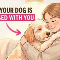 7 Things Dogs ONLY Do With Their Favorite Person