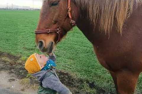 Horses Are Amazingly Gentle Companions for Babies, This Video Proves It ❤️