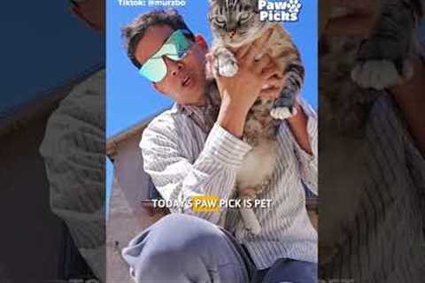 Paw Picks: Petsafe Sliding Glass Pet Door