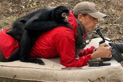ANIMALS Never Fail to Surprise Photographers in Unexpected Ways that Make us LAUGH! 🤣