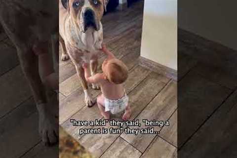 Toddler Tries To Eat Dog Drool Hanging From It's Mouth 🤢🤣
