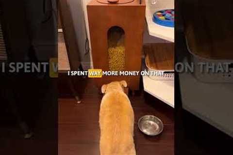 Paw Picks:  Houndsy Kibble Dispenser