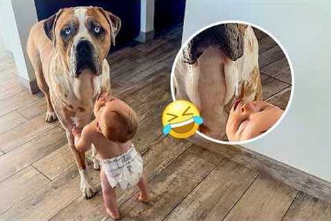 Viral Video: Baby Tries to Eat Dog Drool! 😳 | FUNNIEST of the Week