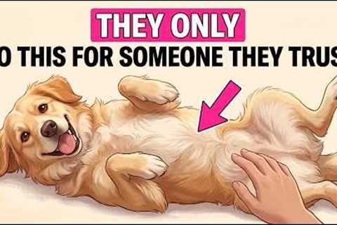 7 Ways Your Dog Says 'I Trust You' (Most People Miss #4)