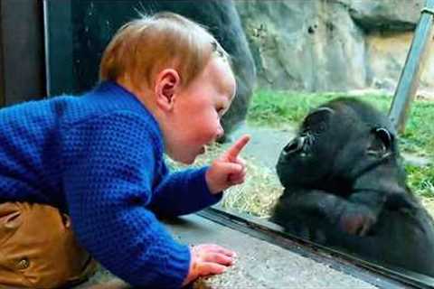 When Your Baby Instantly Finds Best Friends in Animals ❤️