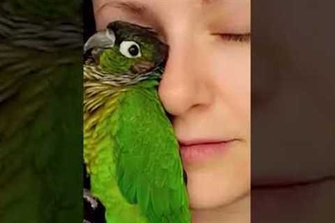 🥰❤️ My Pet is my safe space 🥰❤️