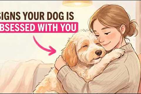 7 Things Dogs ONLY Do With Their Favorite Person