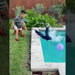 Crazy Animal Moments Caught On Camera! 😱💥🤣 | FUNNIEST Of The Week