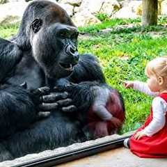 Babies Meeting Animals for the First Time Went Better Than You Expected ❤️
