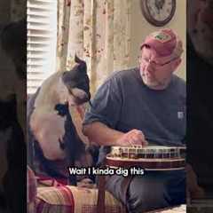 Dog Adorably Tilts Head to Man Tuning Banjo