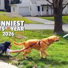 The FUNNIEST Pets of the Year...So Far! 💥🤣