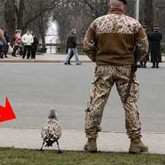 Funniest Animal Moments … You’ll Only See in Florida 😂
