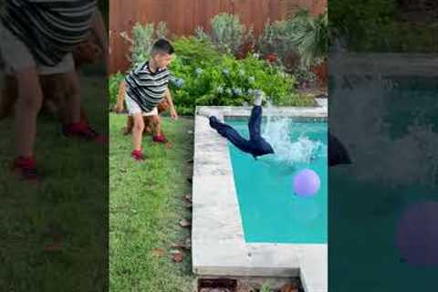 Crazy Animal Moments Caught On Camera! 😱💥🤣 | FUNNIEST Of The Week