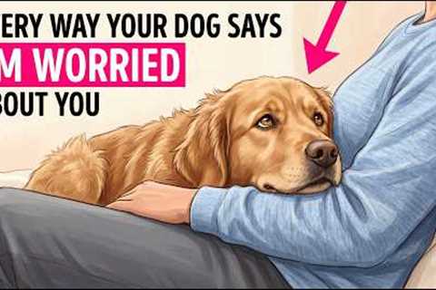 Signs Your Dog Is Worried About You (Most Owners Miss All Of Them)