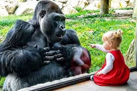 Babies Meeting Animals for the First Time Went Better Than You Expected ❤️