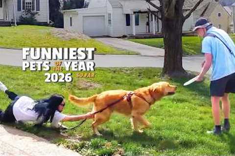 The FUNNIEST Pets of the Year...So Far! 💥🤣