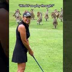 Golf Gone WILD 🐾 | Hardcore Animals