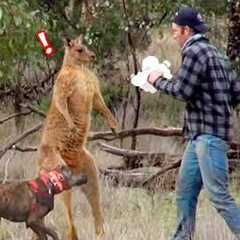 His Power Level Is Over 9000!!! | Hardcore Animals