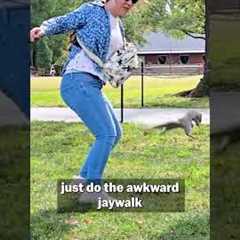 Animals Being HARDCORE 😳🤘💥