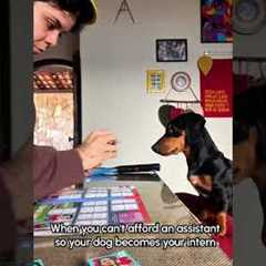 Pup Helps His Pawrent Peel Stickers